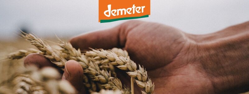Demeter Italia | Sorbolo