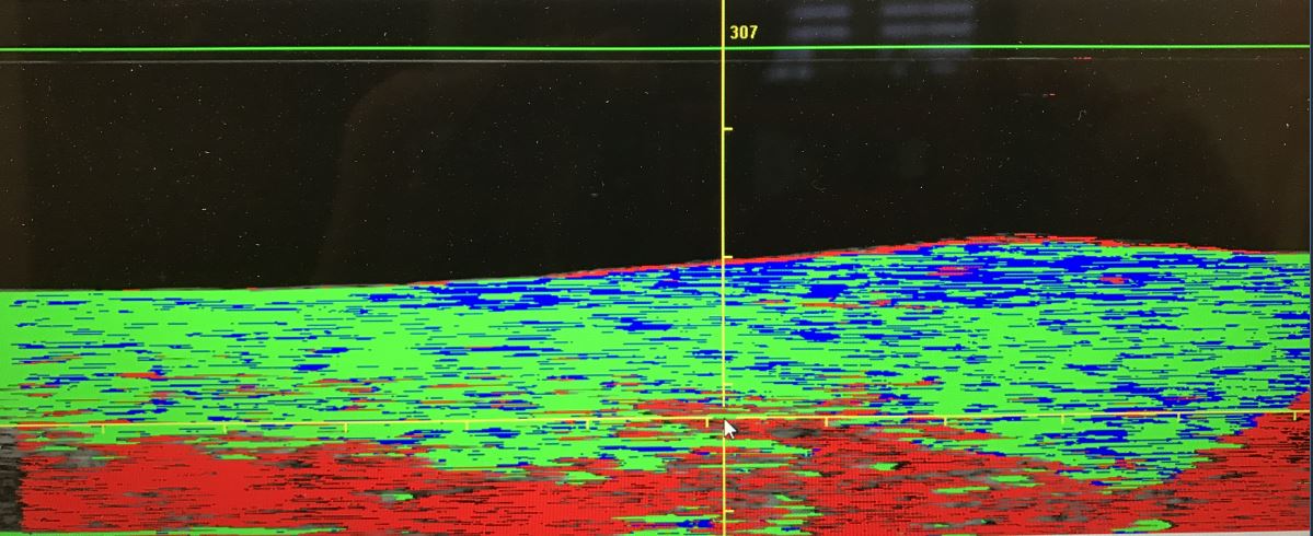 Der UTC-Scan – eine... - Pferdeklinik Niederlenz AG | Facebook