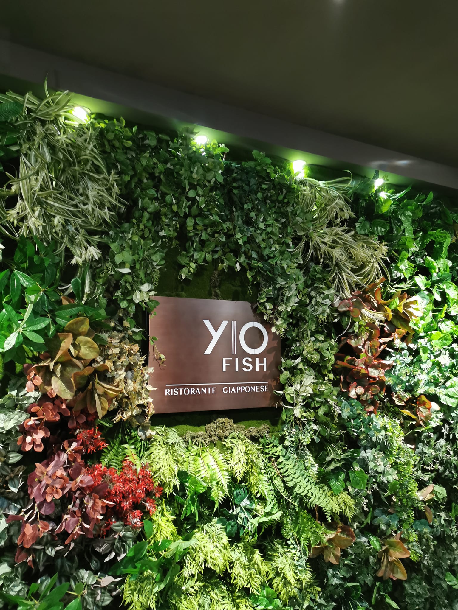 YIO Fish Restaurant | Carpi