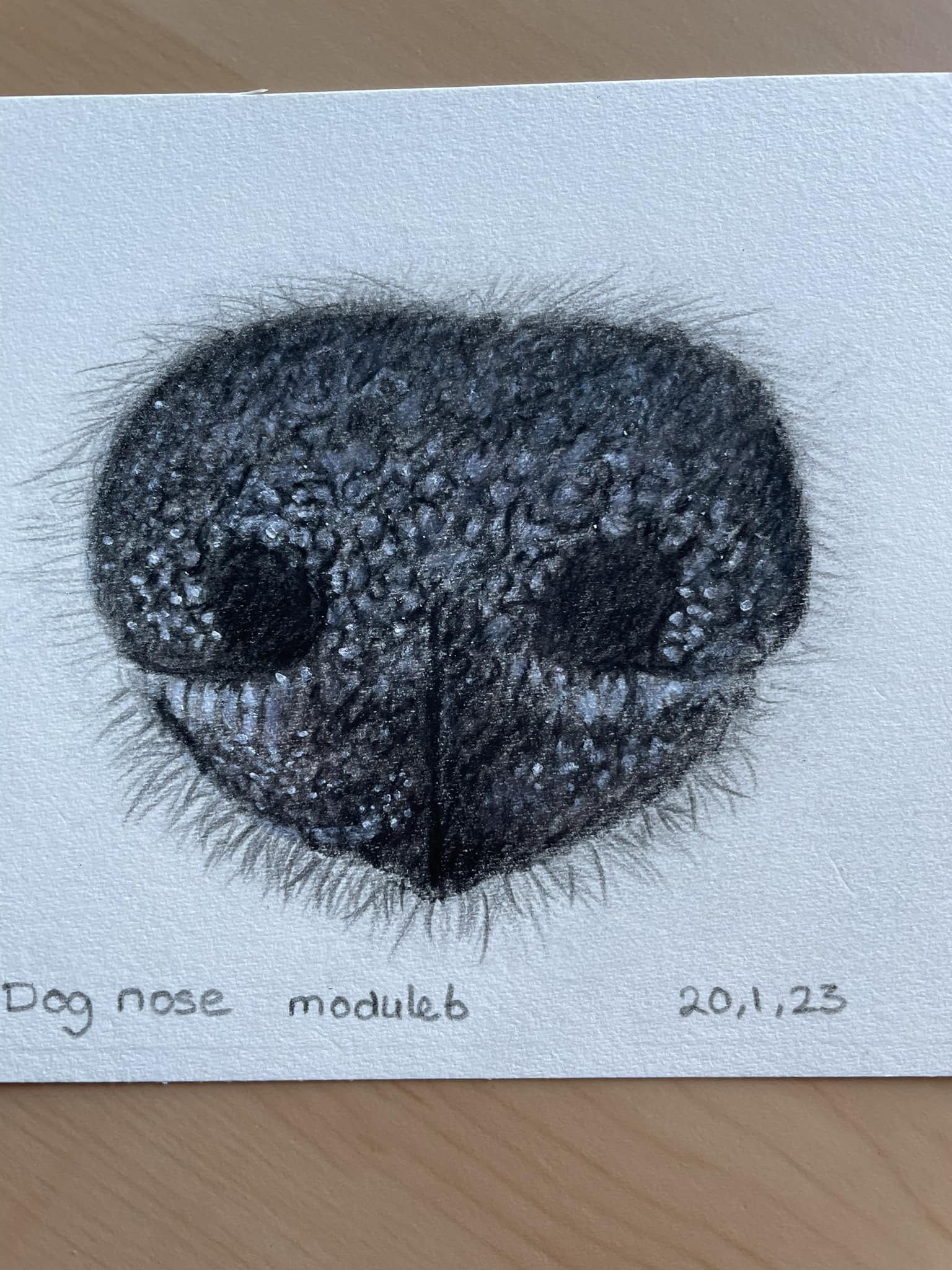What do you think of this drawing of a nose?