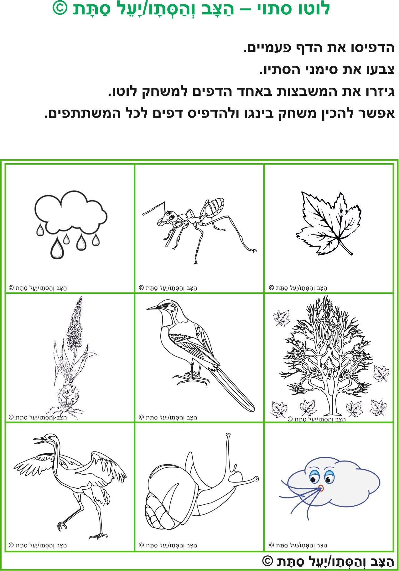 יעל סתת - סופרת ילדים ומשוררת - 🍂🐢 הַצָּב וְהַסְּתָו/יָעֵל סַתָּת © 🐢 ...
