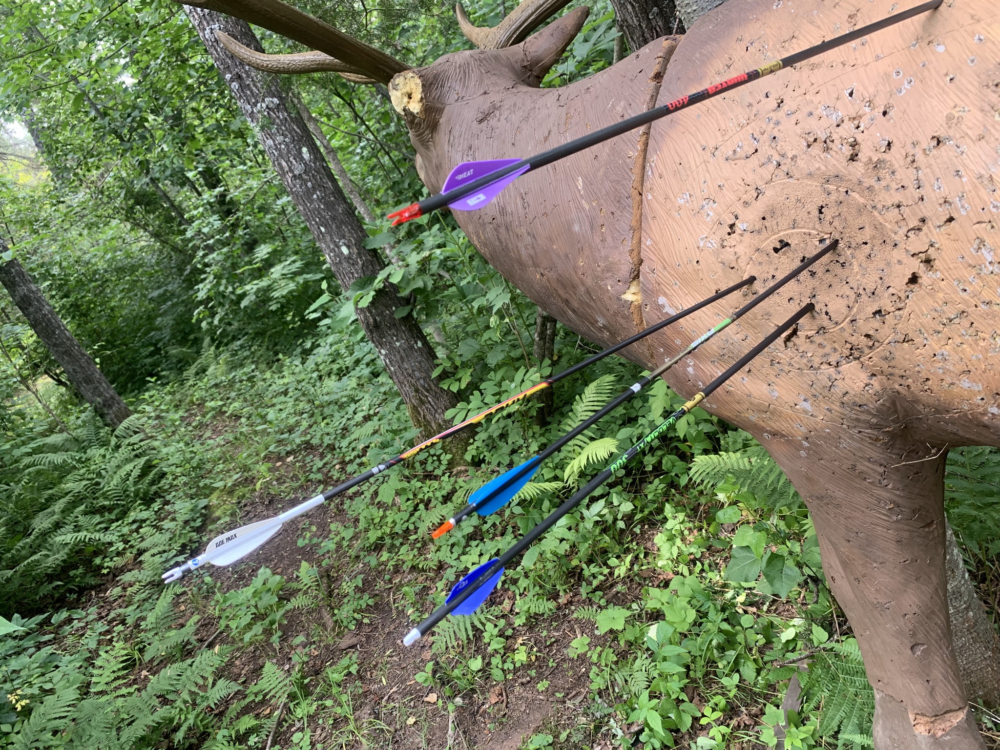 The 2023 #MSAA State... - Minnesota State Archery Association | Facebook