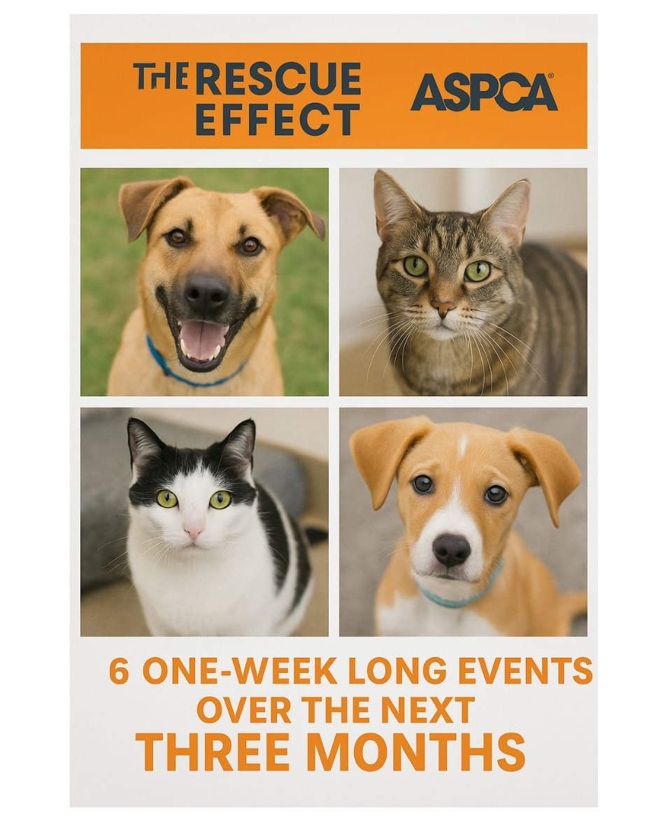 People For... - People For Pets - Twin Falls Animal Shelter