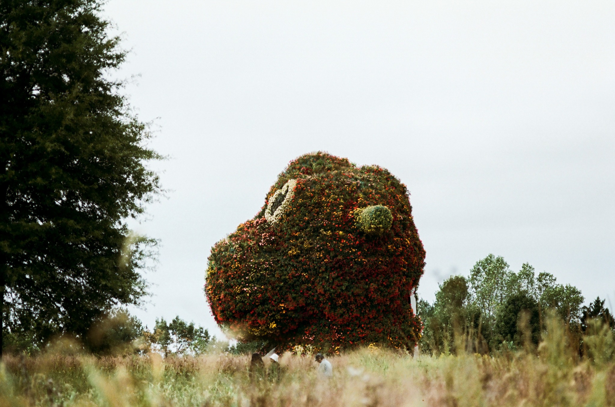 Jeff Koons's Split-Rocker sculpture at Glenstone Museum