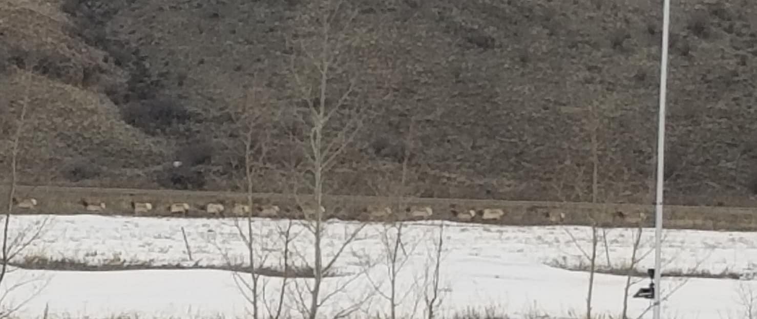 RC Guest Ranch | Creede CO