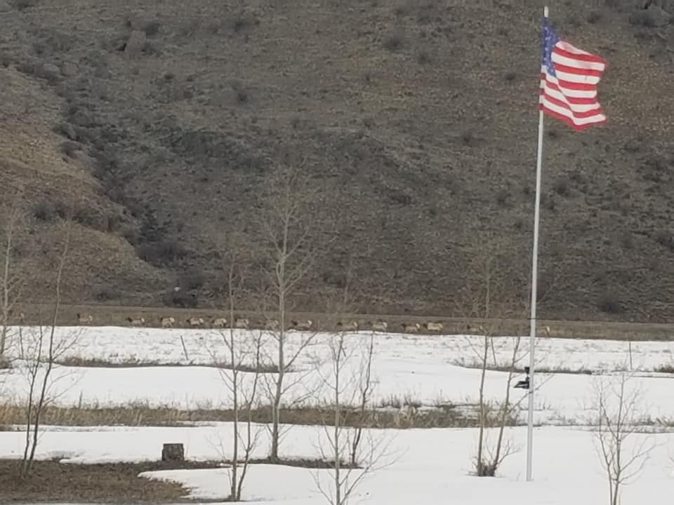 RC Guest Ranch | Creede CO