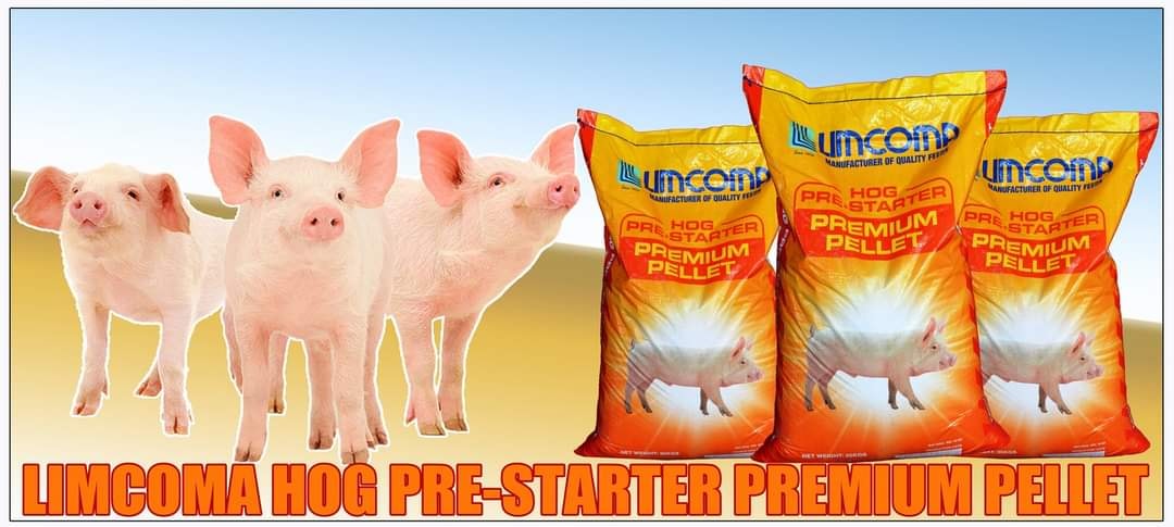 Leah's Rice and Feeds Store | Calatagan