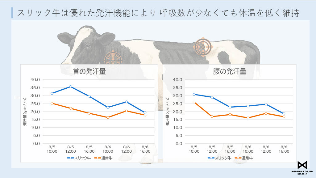 野澤組のトータルアプローチ Nosawa&Co.,Ltd.