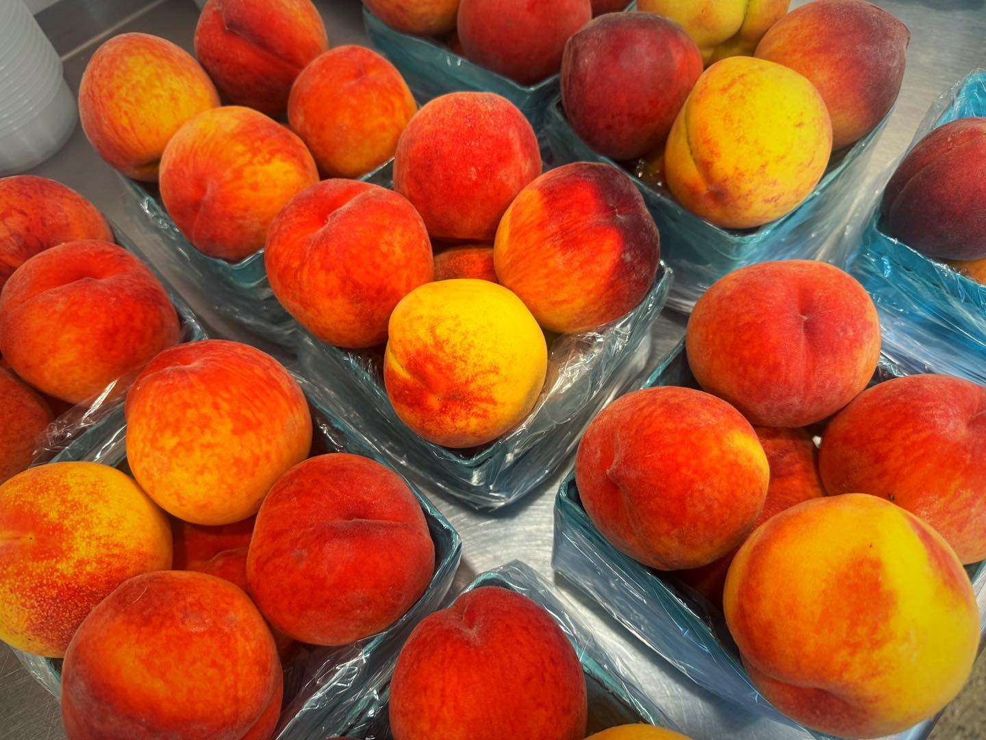 An orchard will not open for the 2026 season after harsh spring