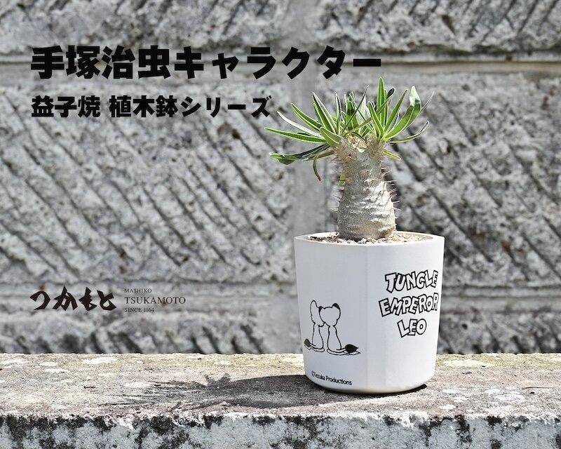 手塚治虫（Tezuka - ヒョウタンツギ ソフビ発売！ ソフビフィギュア