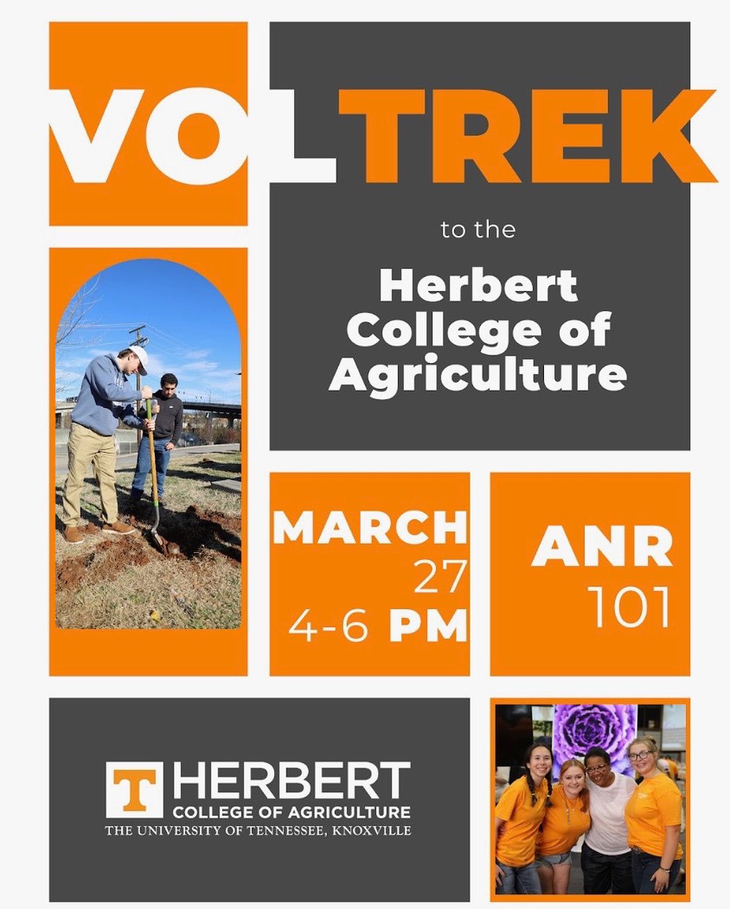 UTK Career Development & Academic Exploration | Knoxville TN