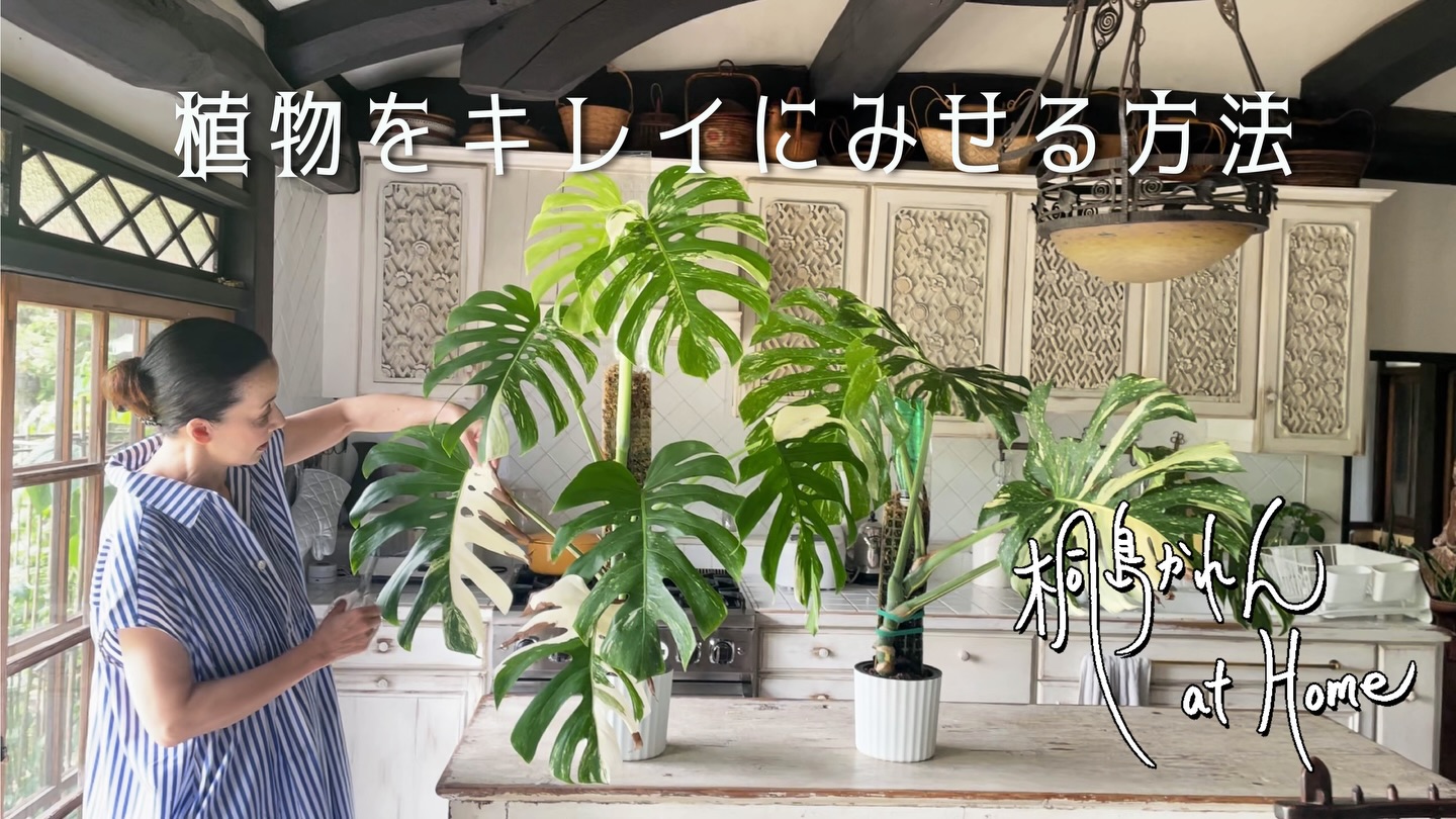 桐島かれん - 店頭では既に秋冬物のストールが並んでいます。カシミヤ