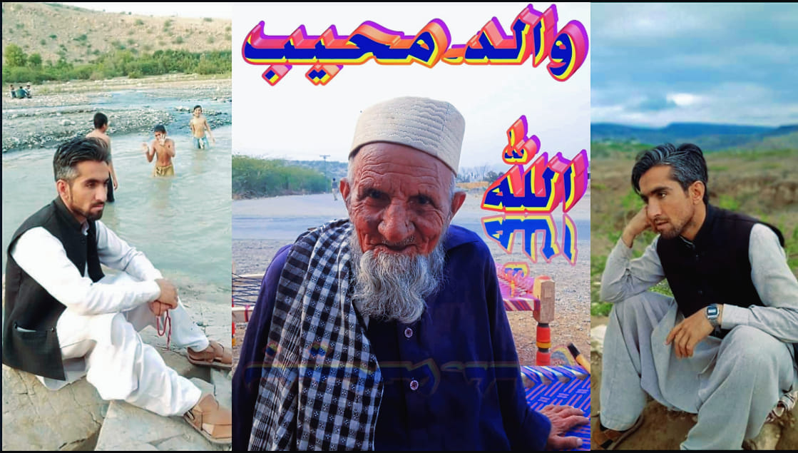 Muhib Ullah Shaheen