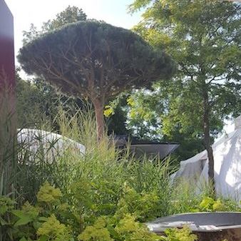 Gartenbau Denk - #rollrasen