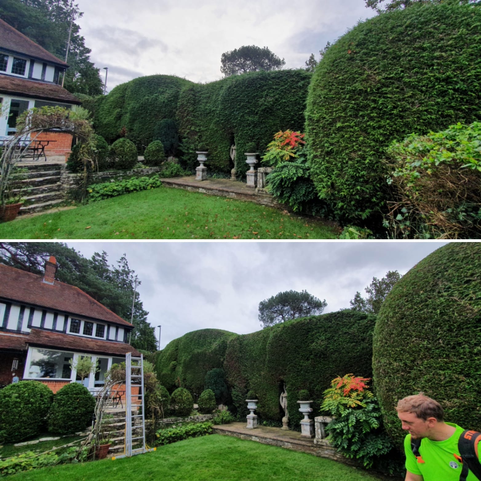 B Draper TREE Services