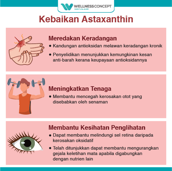 Tahukah anda bahawa apakah antara... - Beta Vision Malaysia | Facebook