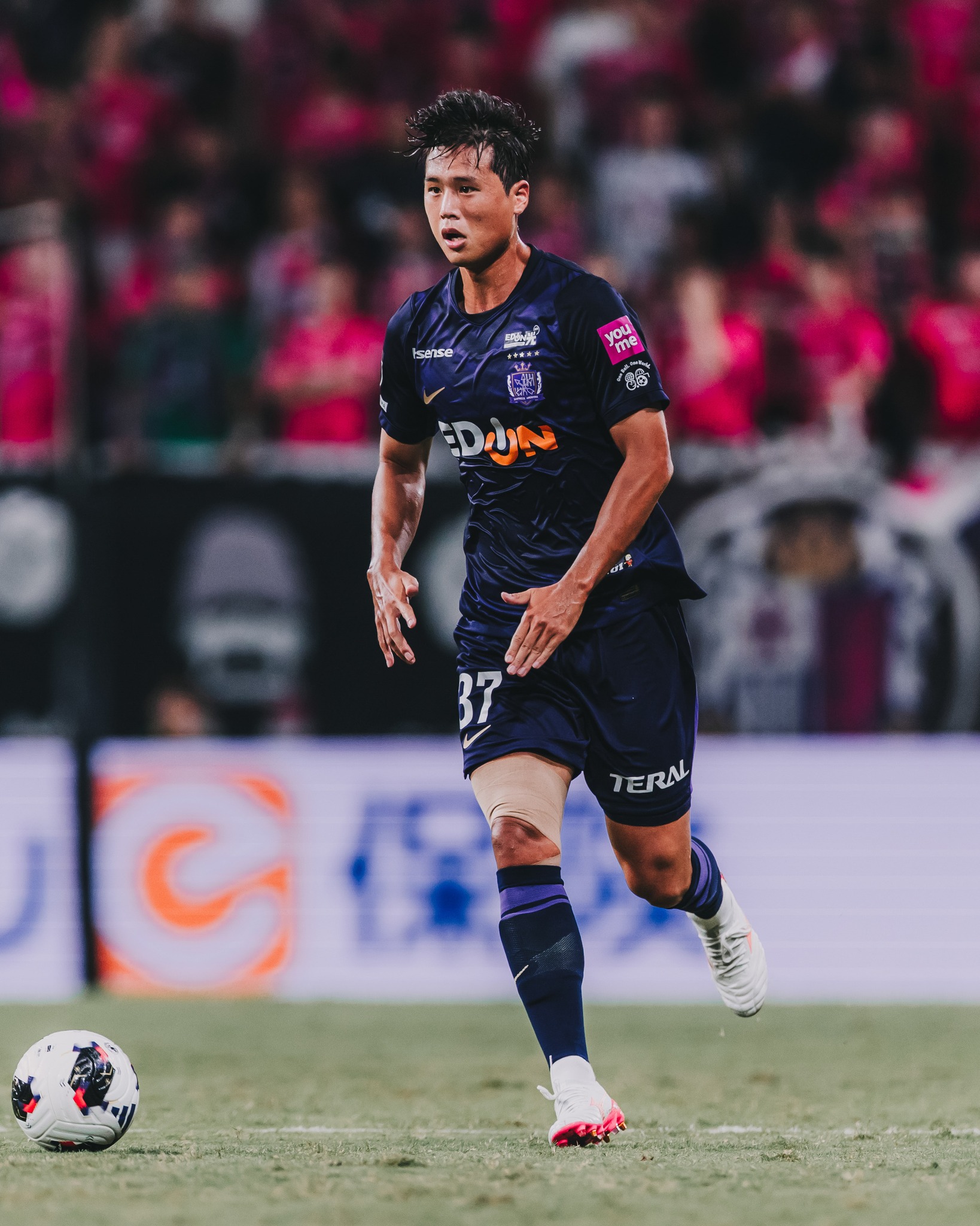 サンフレッチェ広島｜SANFRECCE - サンフレッチェ広島｜SANFRECCE