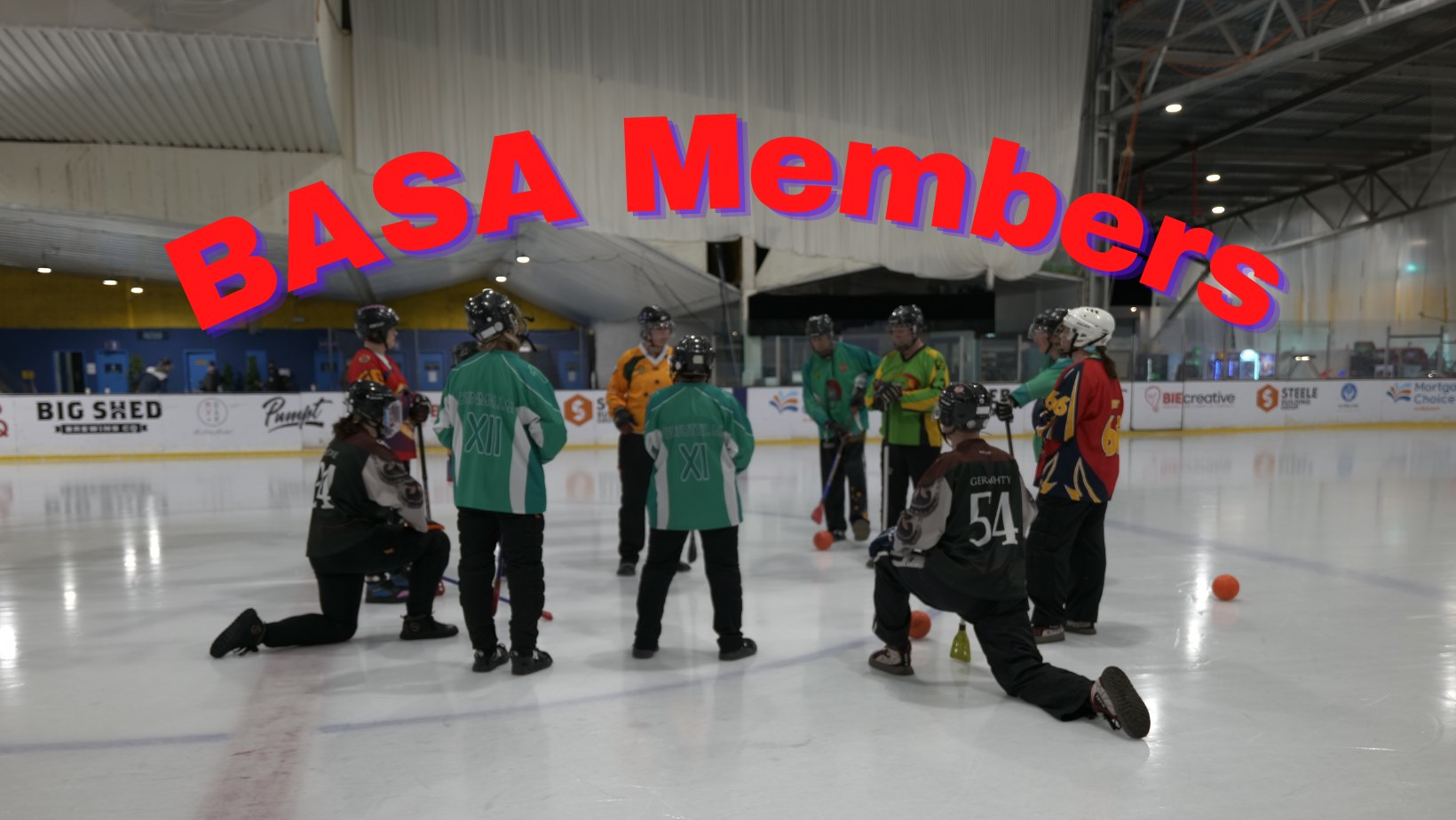 BASA Members | Facebook