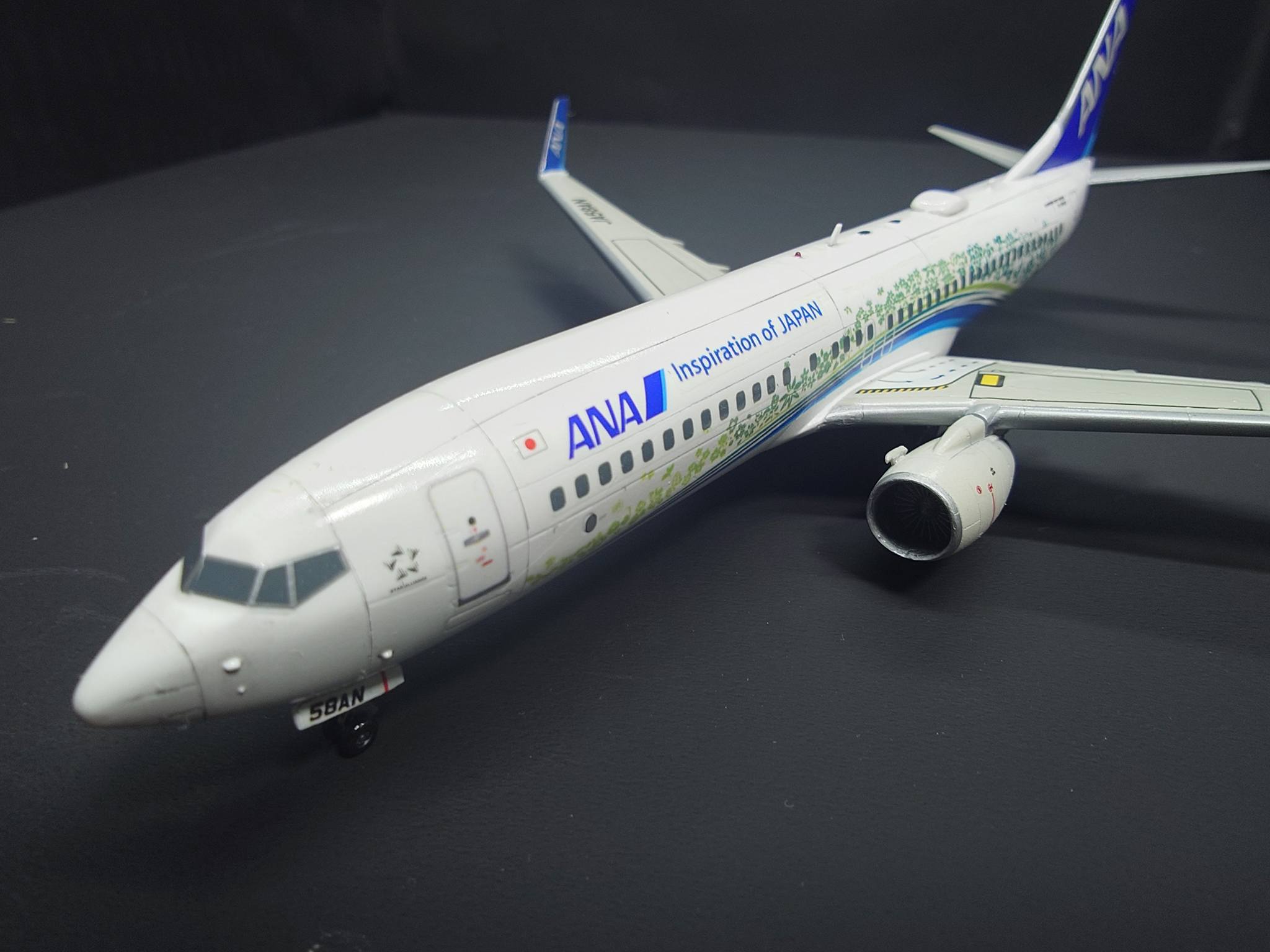Completed 1/200 Hasegawa Boeing 737-800 ANA model