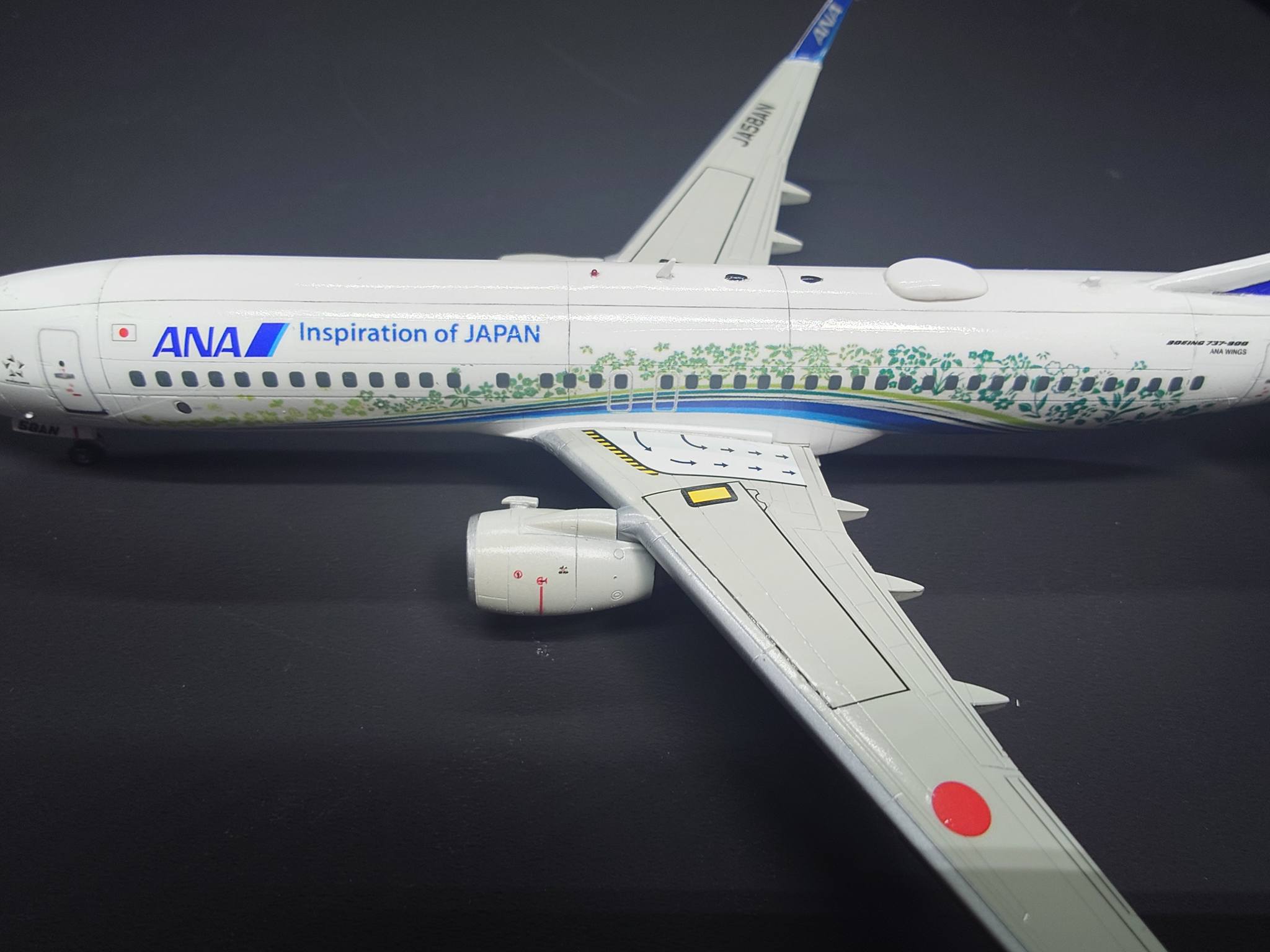 Completed 1/200 Hasegawa Boeing 737-800 ANA model
