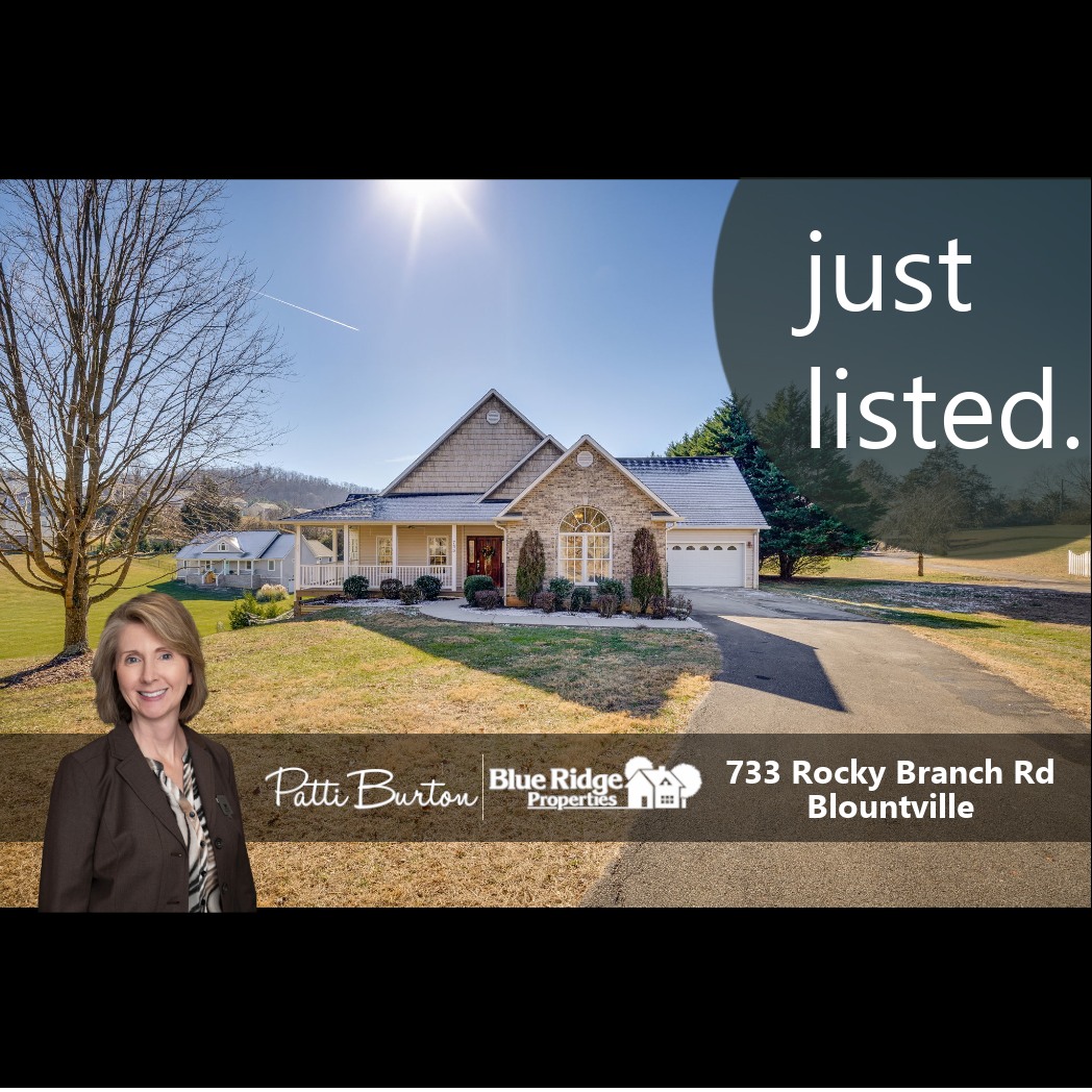 Patti Burton, Realtor, Blue Ridge Properties, Kingsport | Kingsport TN