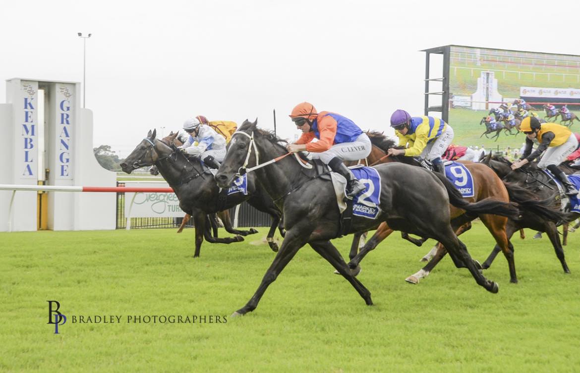 💙🧡 EQUILIBRIST 🧡💙 Equilibrist took... - Kerry Parker Racing | Facebook