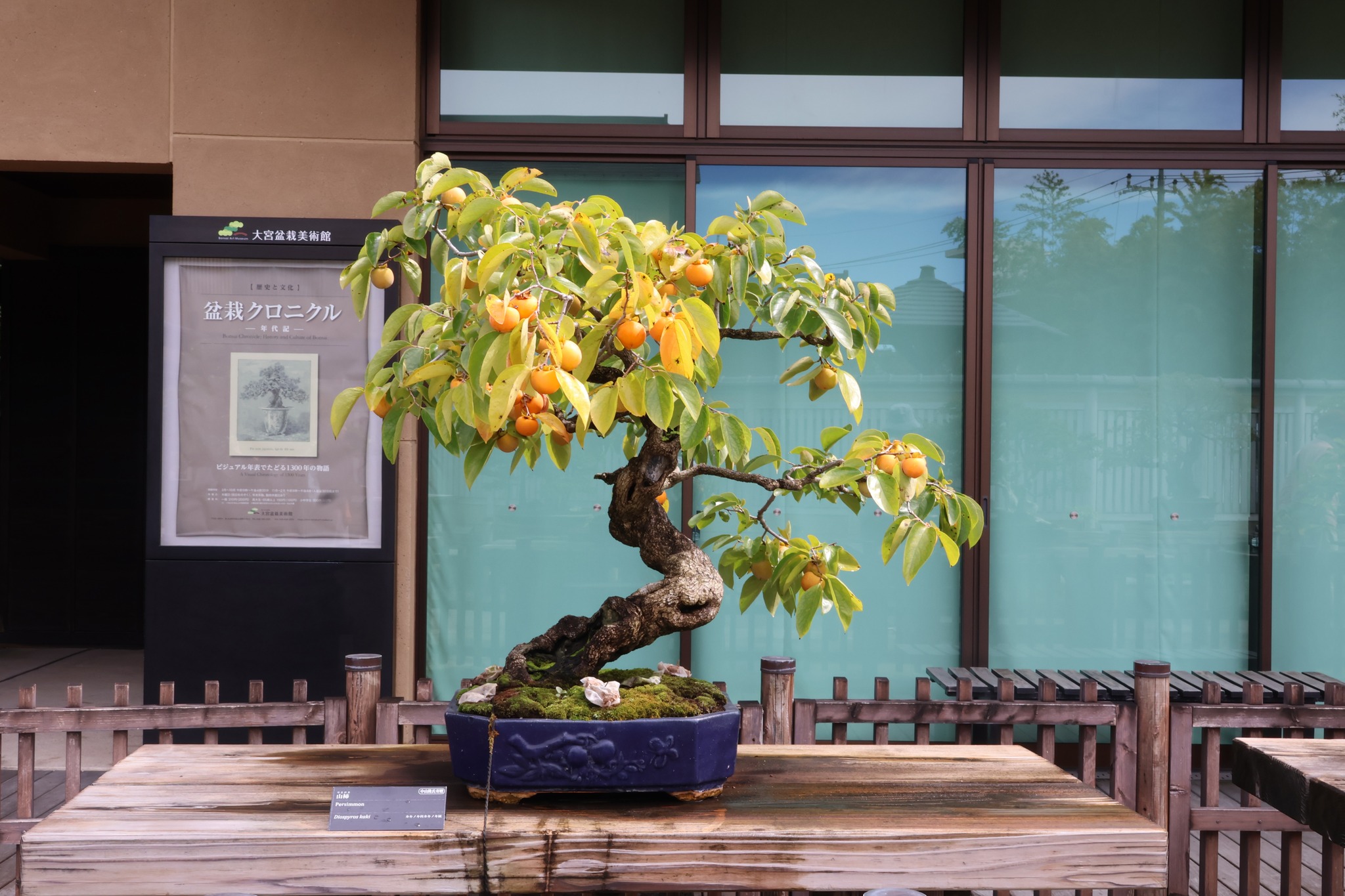 現在の展示 Current Exhibition 貴船糸掛石 銘「起雲」 京都貴船川に産