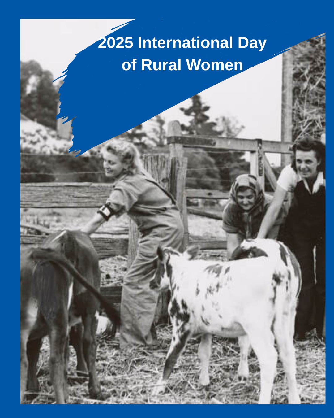 Livestock - International Day of Rural Women - celebrating the ...