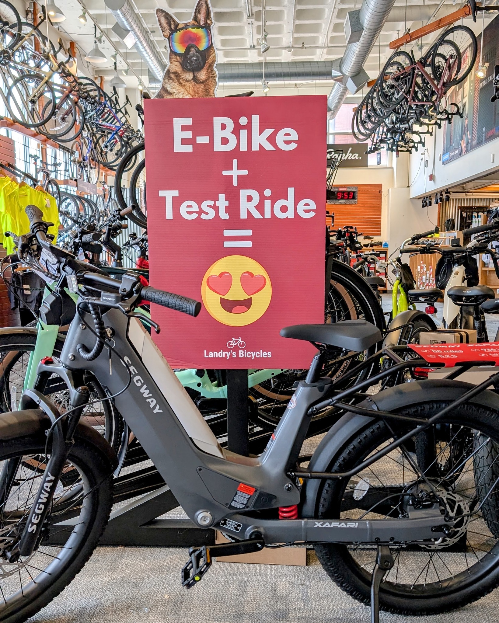 new electric bicycles Revolution X 10,000W Bike (Made in USA) – Extreme Speed & Torque 2026 Built for riders who CatEye OH-2400 Bell Gold Imported Color:Pine Leaf Green