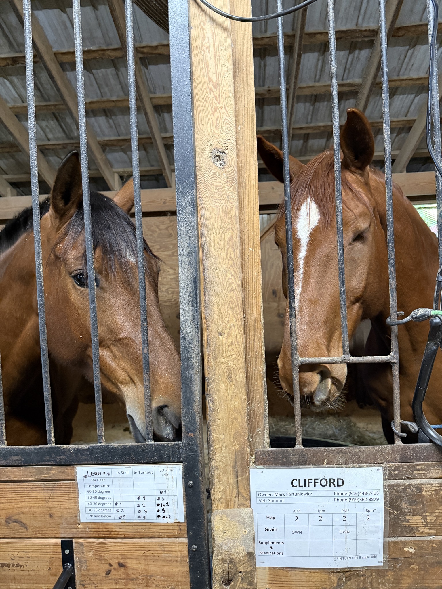 MacNair's Country Acres | Raleigh NC