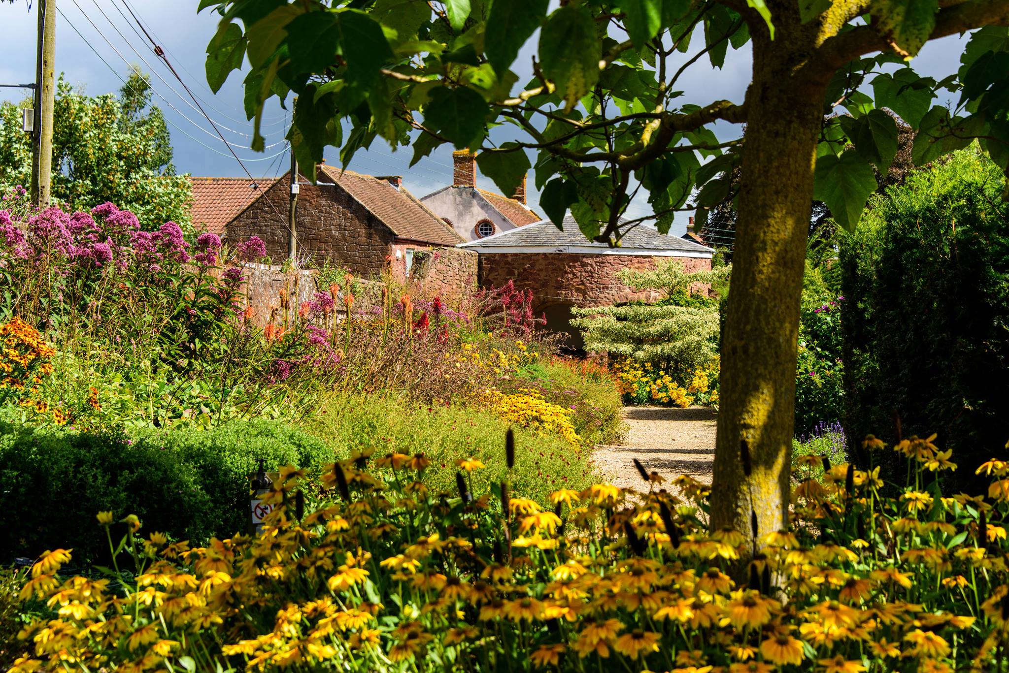 Visit Somerset - For your chance to win some absolutely... | Facebook