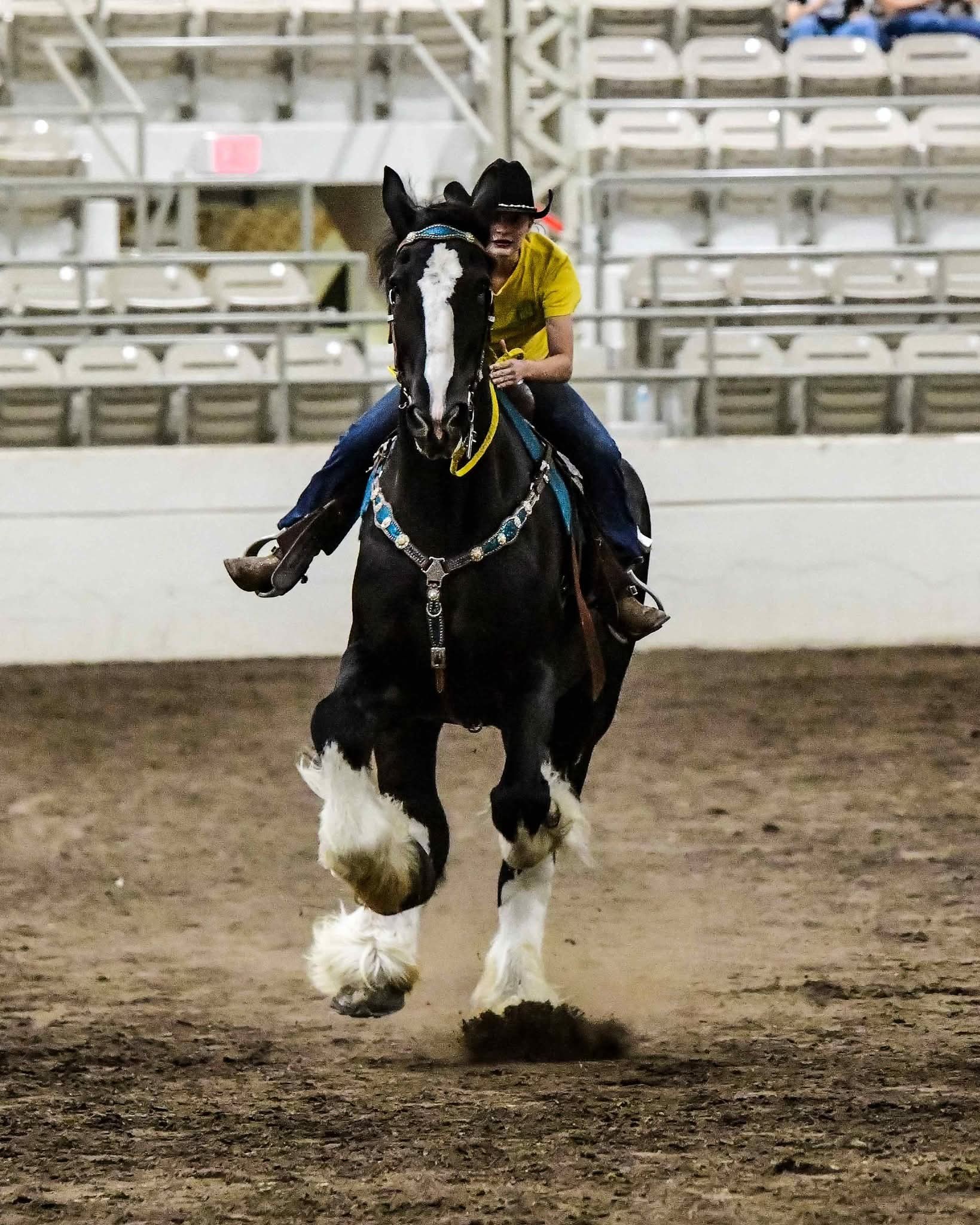 Debren... - Debren Clydesdales / Chuckwagon Adventure