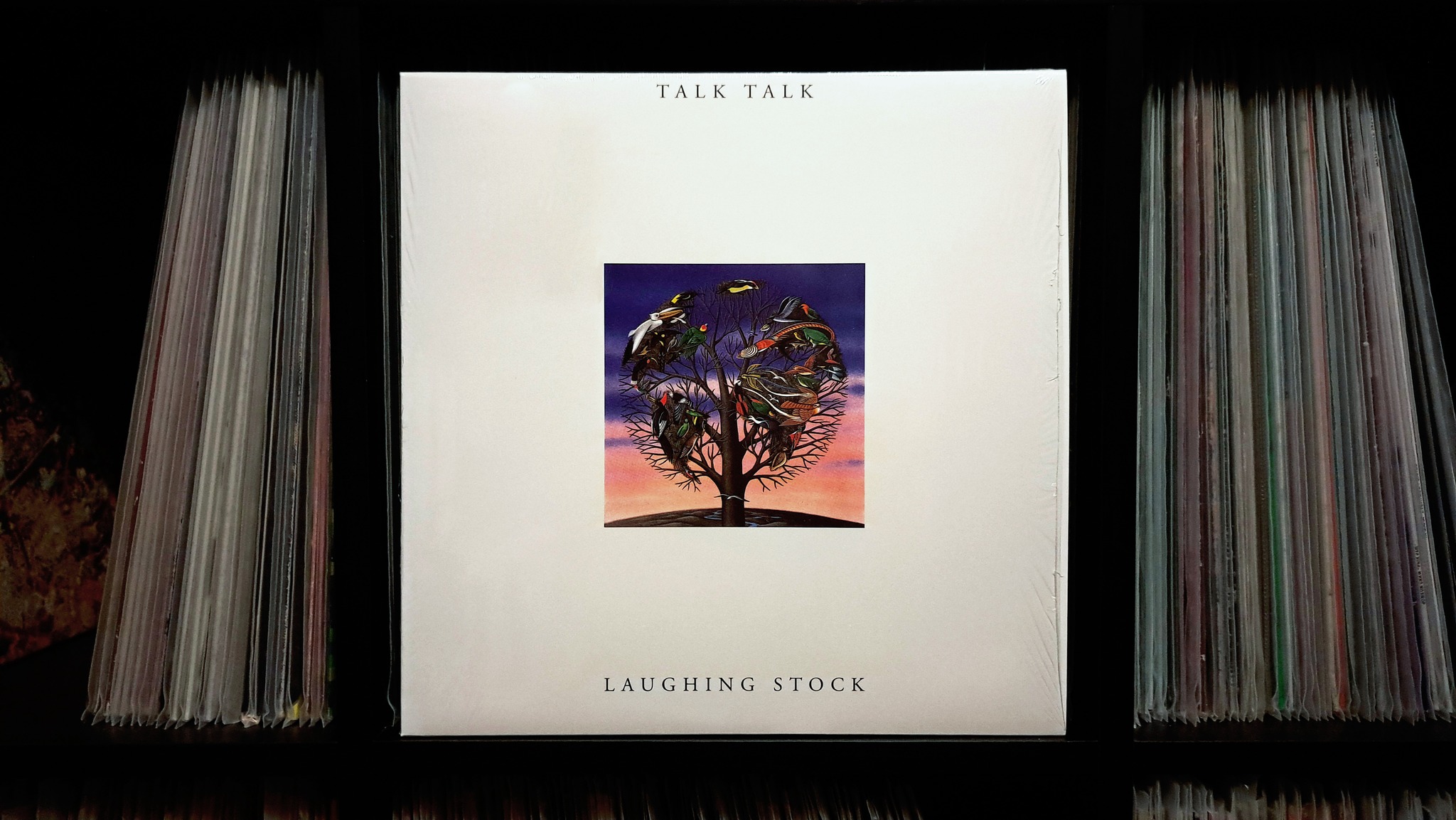 Talk Talk - Laughing Stock, #onthisday 1991.