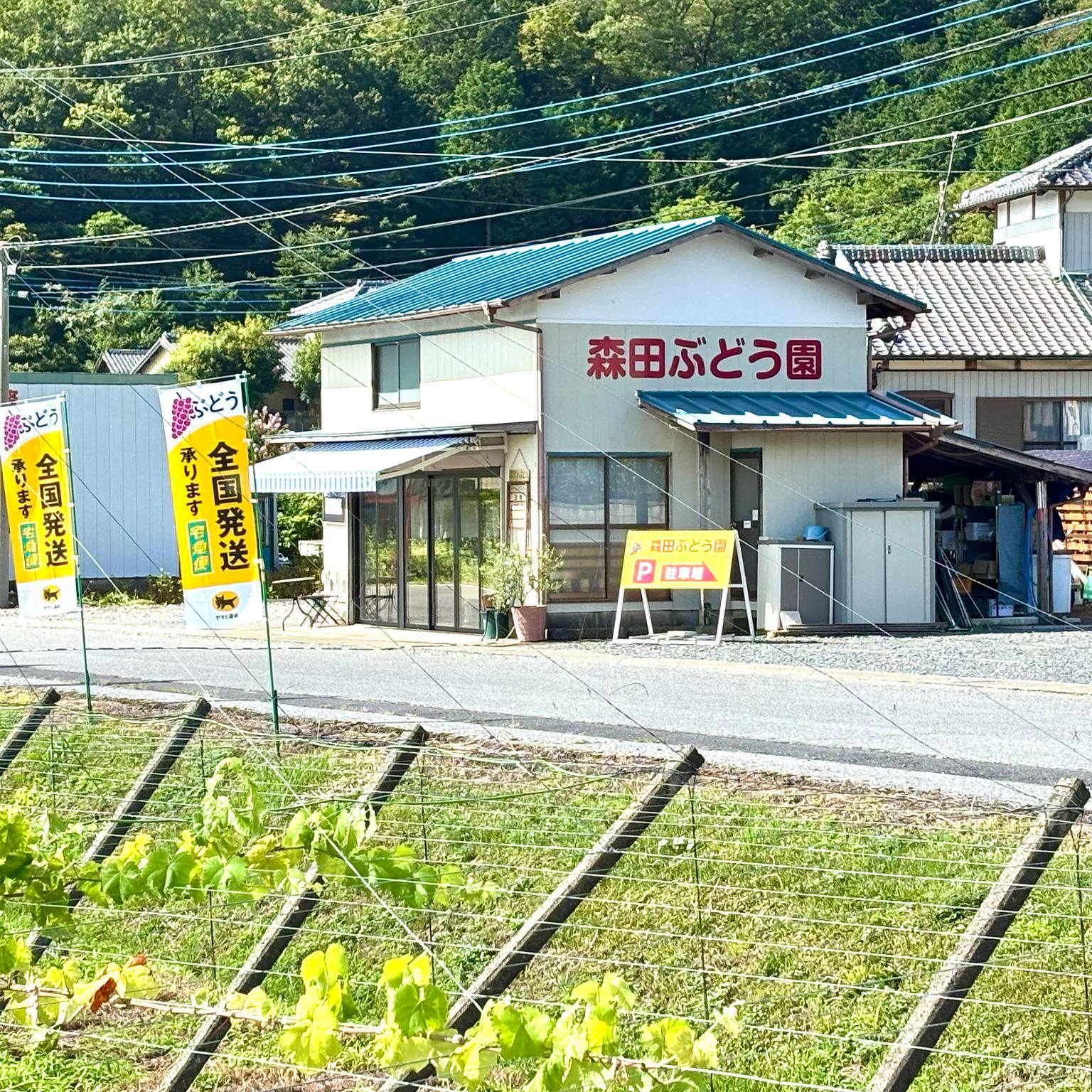 ためして ガッテン 昨夜