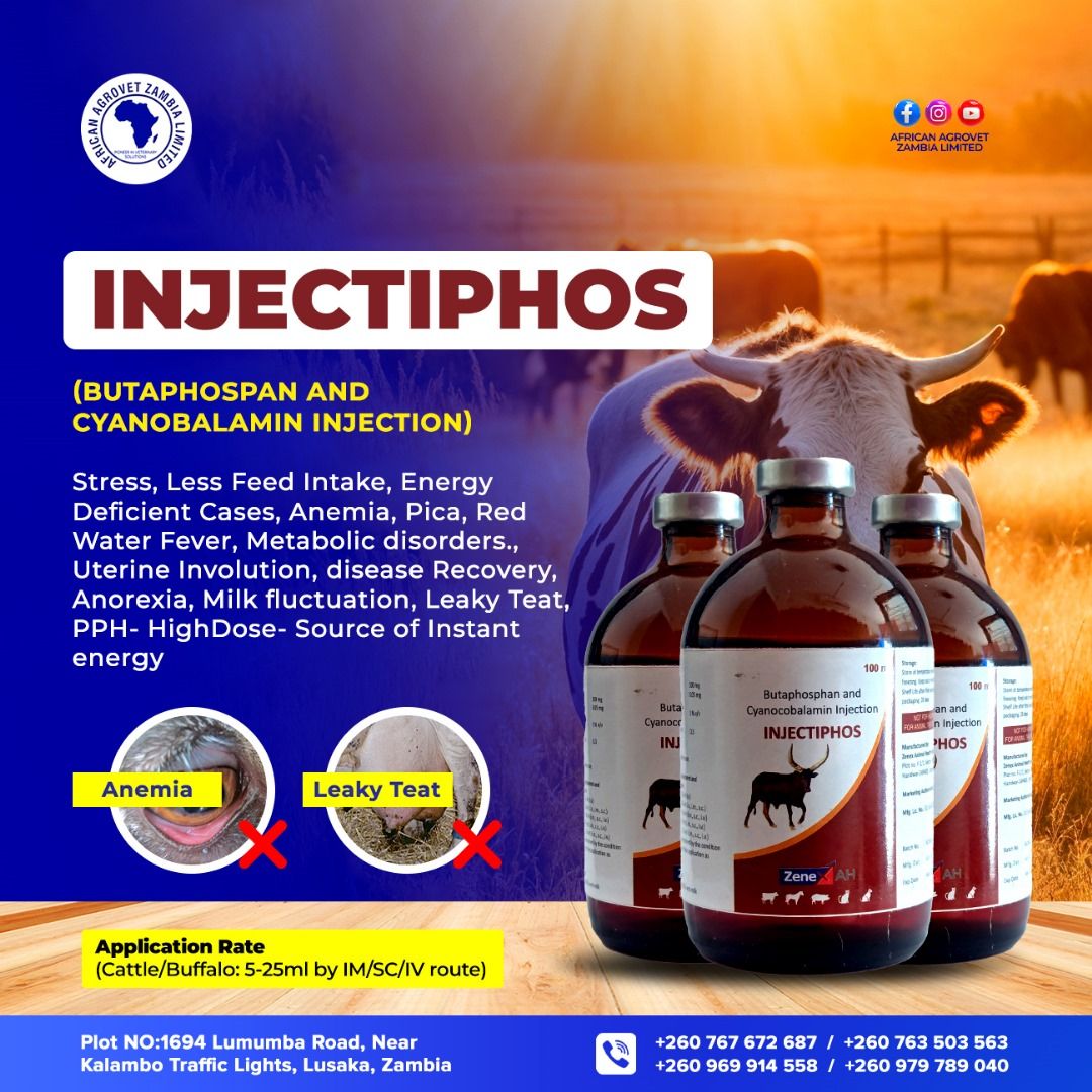 🚨 Say Goodbye to Energy Deficiency... - African Agrovet Z ltd | Facebook