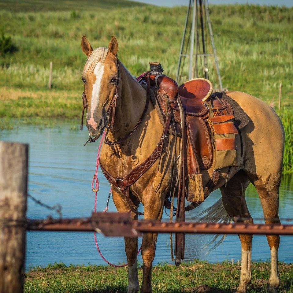 Hutton Ranch - Changing pastures. Another view of what we... | Facebook