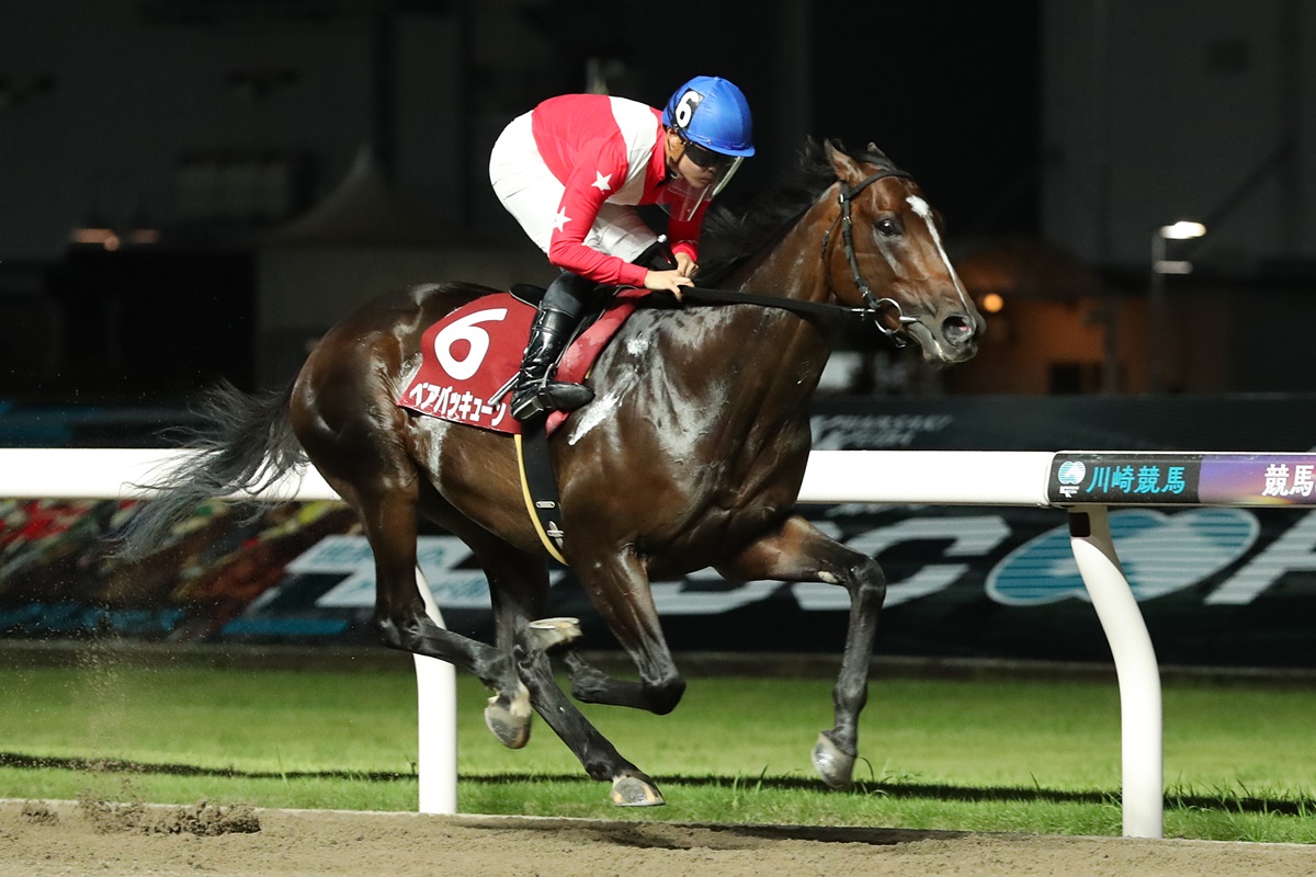 川崎記念当日の川崎競馬場 10レースには「よいとまけとコラボしました