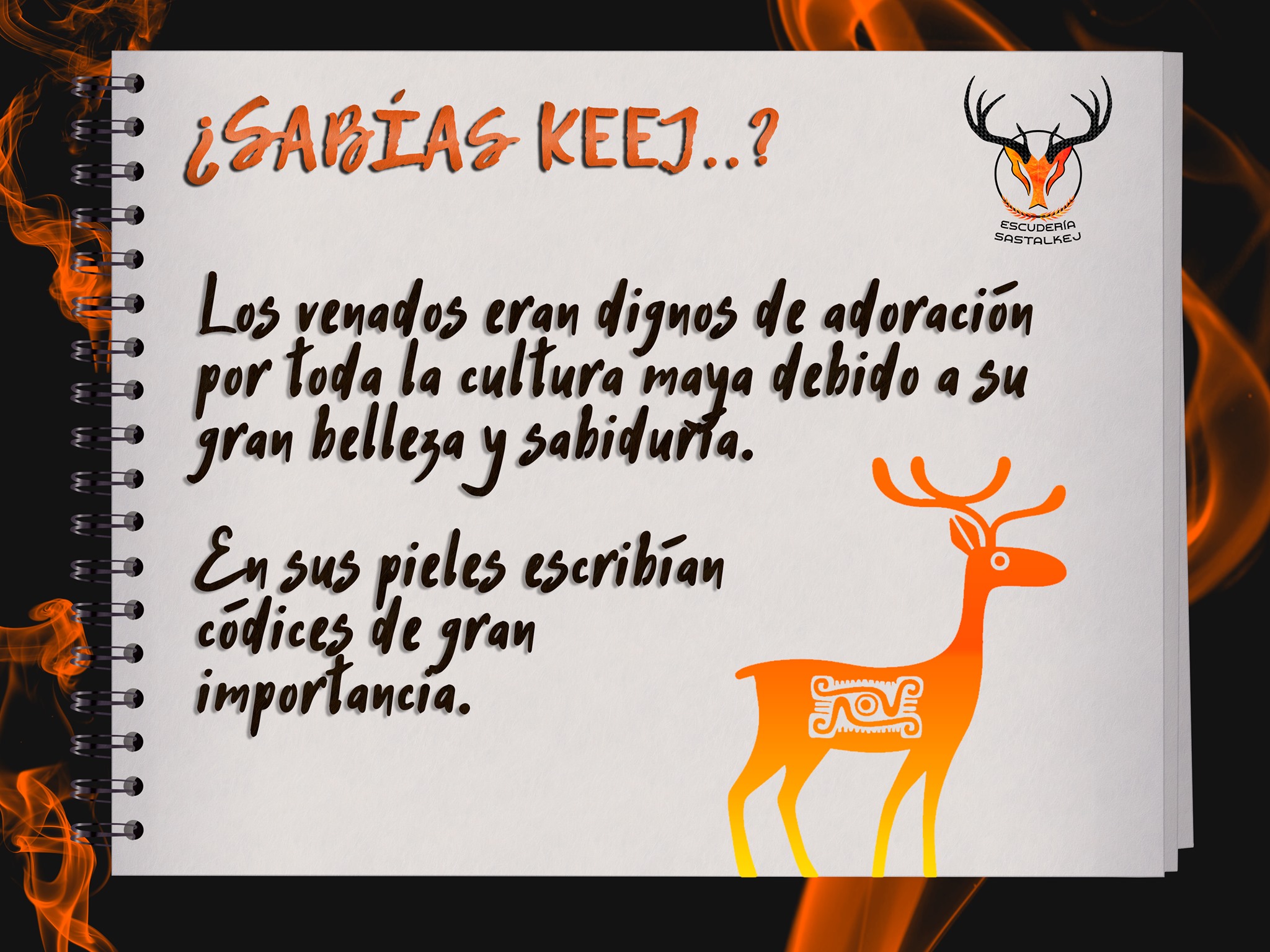 Sabías Keej...?🧐 El venado es uno... - Escudería Sastalkej | Facebook