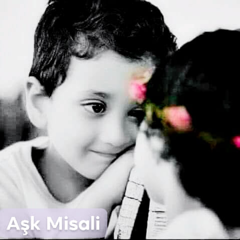 Aşk Misali