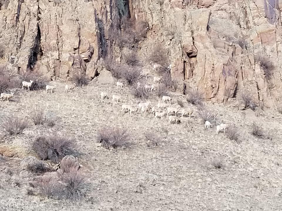 RC Guest Ranch | Creede CO