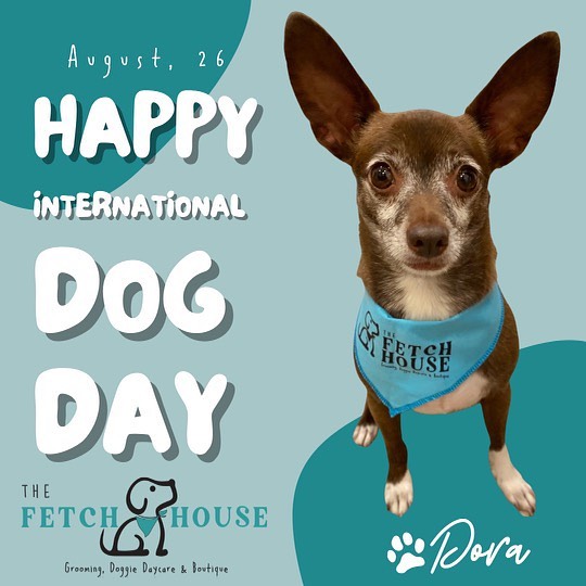 The Fetch House - Strike a pose! 📸 Share your pup’s pic... | Facebook
