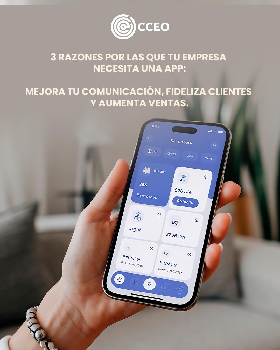 CCEO Software Development | Aguascalientes
