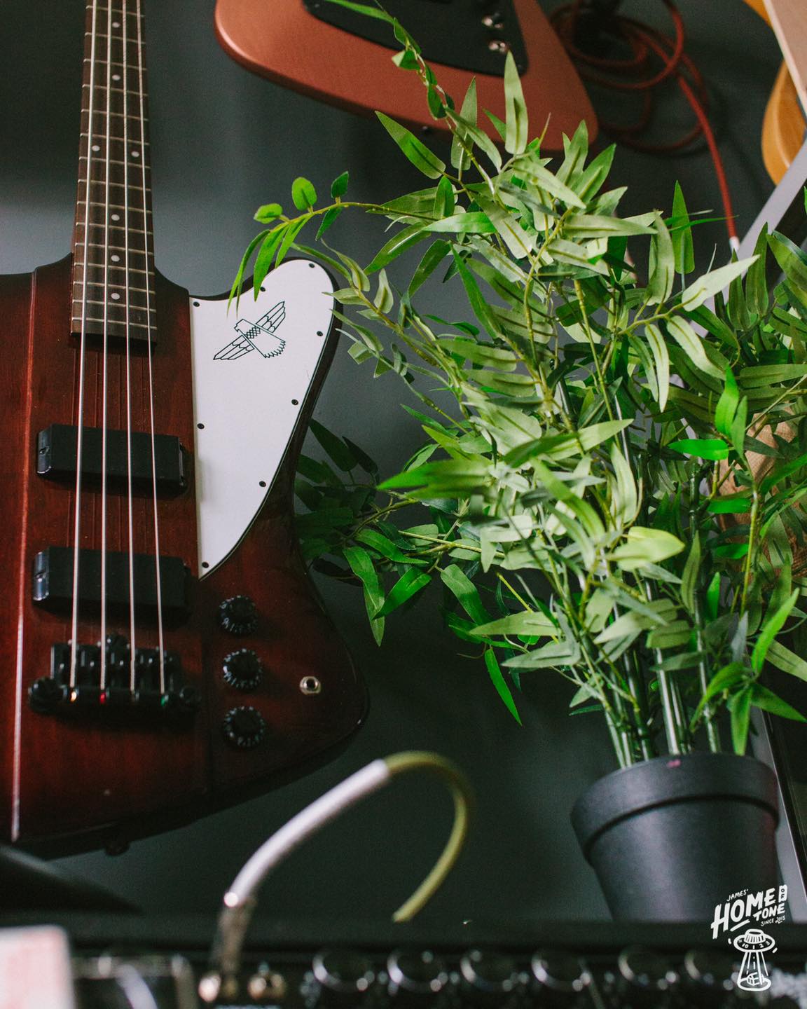 Thunderbird bass brings the heat