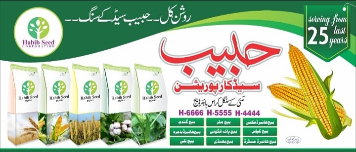 Habib Seed Corporation | Multan