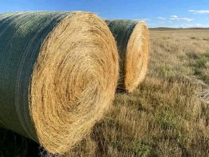 Local Hay farm