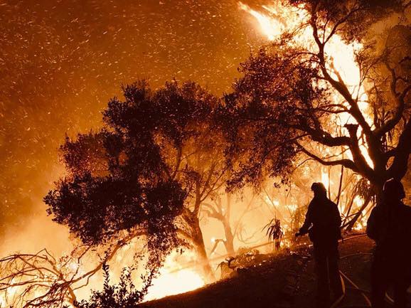 Pyrox Fire Suppression Solutions | Vracar (historical)