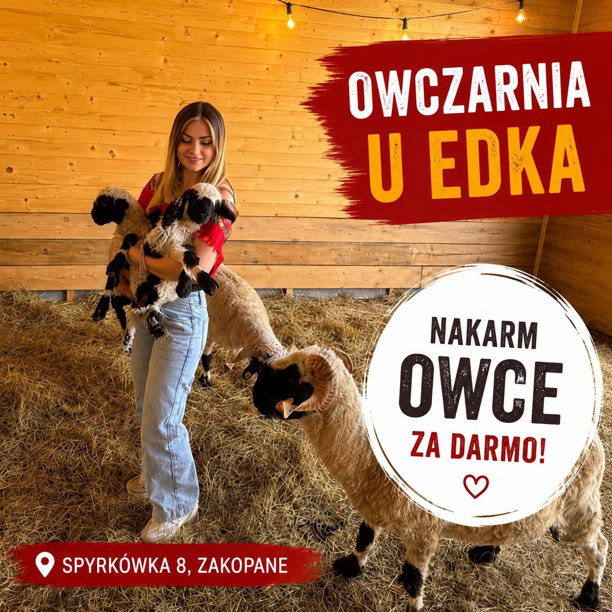 Owczarnia u Edka | Zakopane
