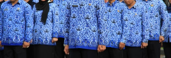 Pengamat Politik - beberapa wilayah kerja ASN yang sangat 