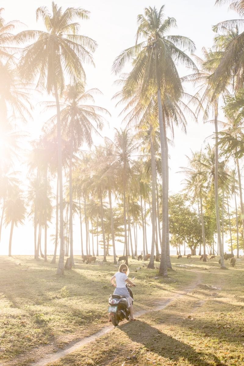 Hi, does anyone knows where at Koh Lanta this photo might was taken?