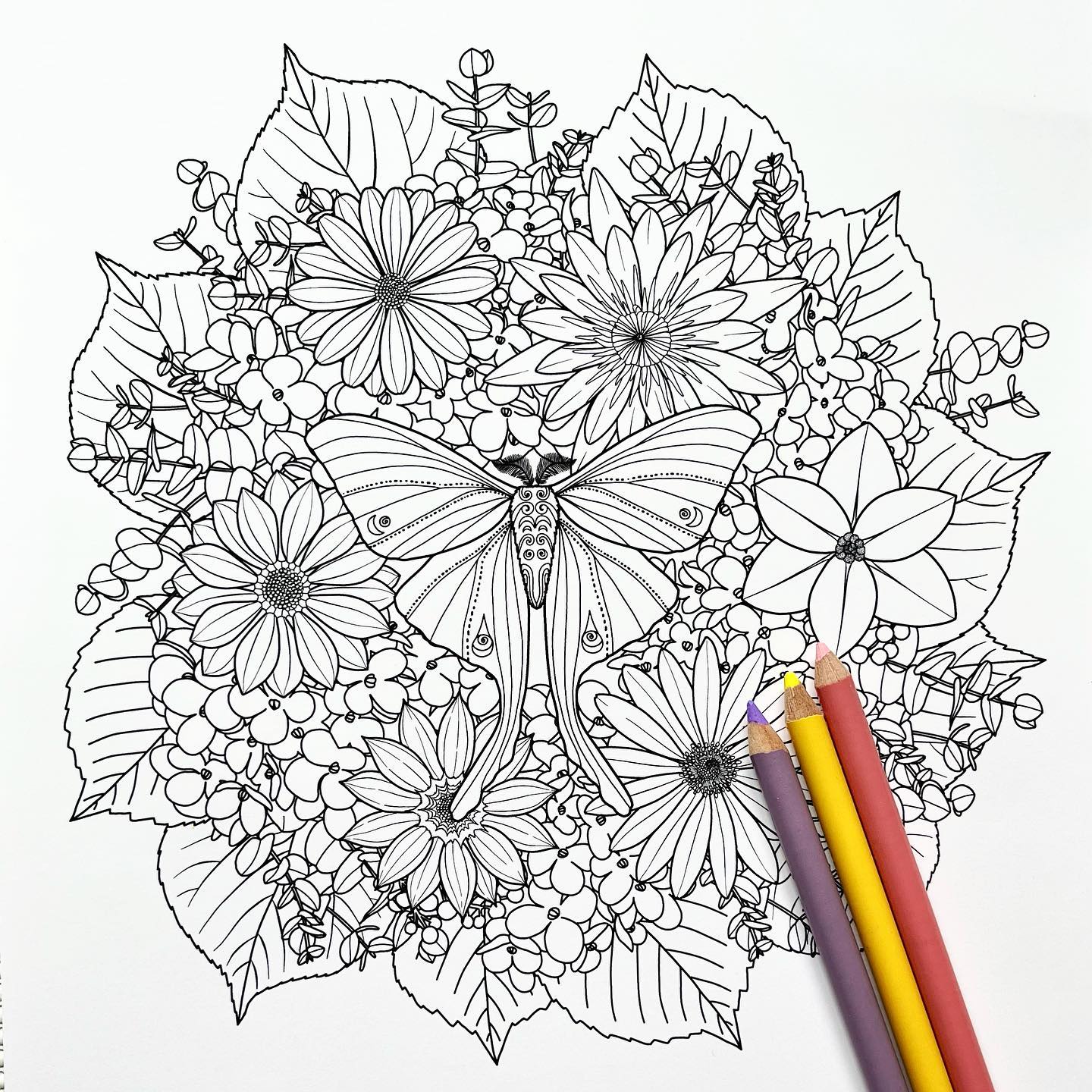 A printable coloring page of... - Len Minimal Coloring